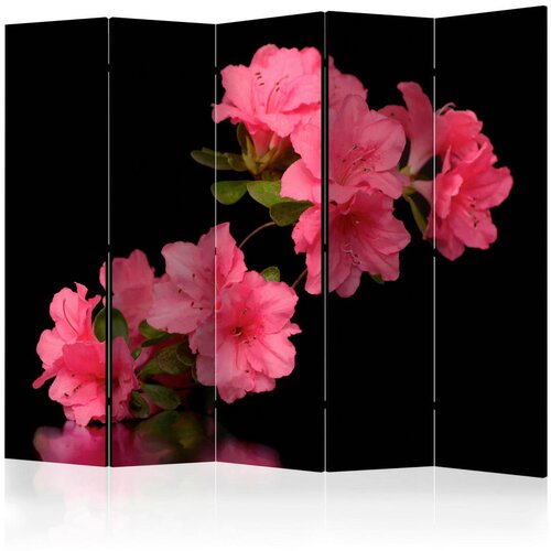 Artgeist PARAVAN 225/172/3 cm črna, pink Cene