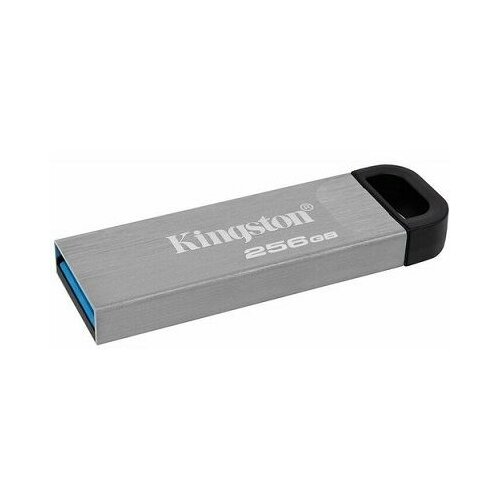Kingston USB 256GB Cene