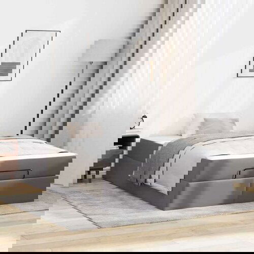  Konstrukcija postelje z vzmetnico Siva 120 x 190 cm Umetna koža, (5000069780) Cene