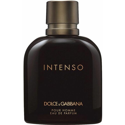 Dolce & Gabbana Muški parfem Pour Homme Intenso, 40ml Slike