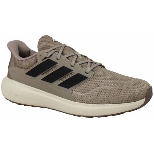 Adidas Nizke superge Ultimashow 2.0 Plus pisana Slike