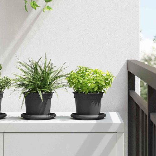 Saksije za biljke 6 pcs Crna Ø 12,5 x 10 cm Plastika Cene