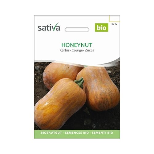 Sativa Buča Honeynut Cene