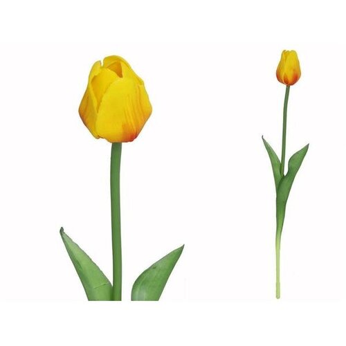  TULIPAN PVC 47CM Cijene
