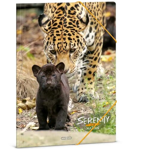 Ars Una serenity &ndash; jaguar A/4 mapa s gumicom Cijene