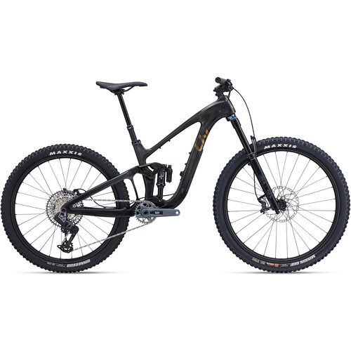  Bicikl LIV Intrigue X Advanced 1 Raw Carbon - M Cijene