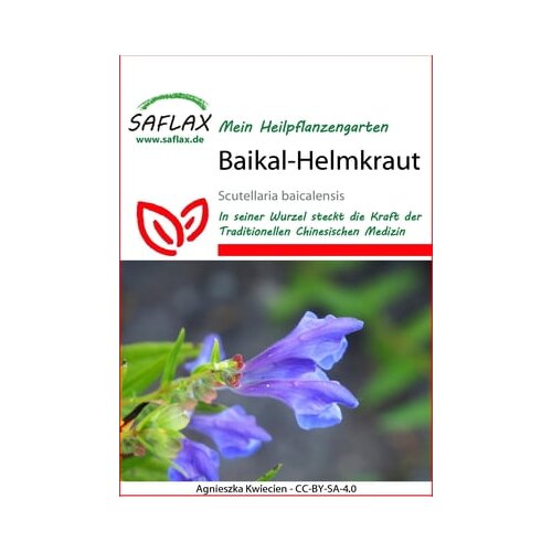 Saflax Bajkalska čeladnica Cene