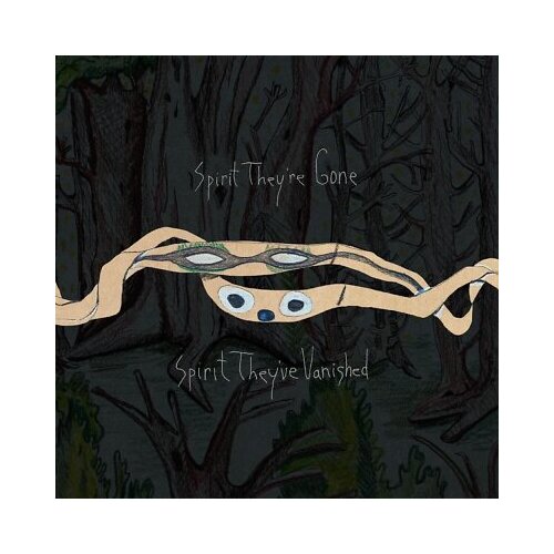 Animal Collective Spirit They&rsquo;re Gone, Spirit They&rsquo;ve Vanished Cene
