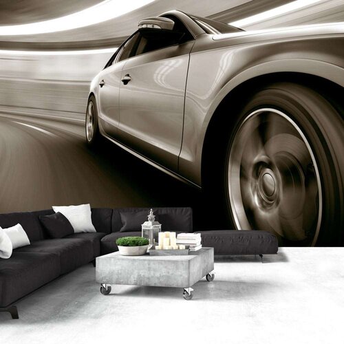  Tapeta - Speed and Elegance 100x70 Slike