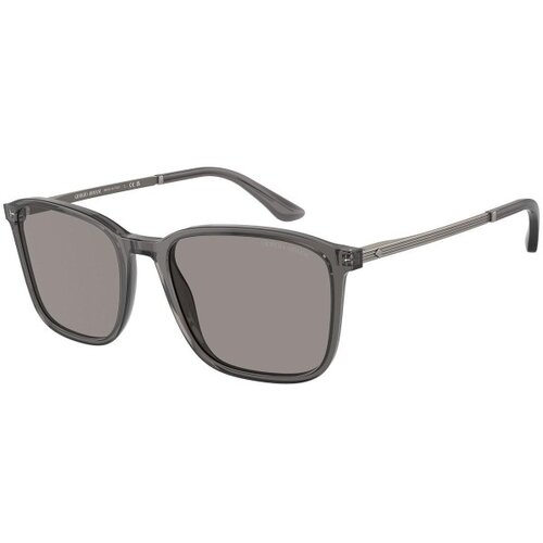 Giorgio Armani AR8197 6036M3 ONE SIZE (55) Siva/Siva Slike
