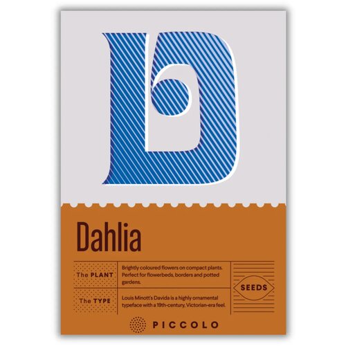 D - Dahlia - dalija - 1 pkt. Cene