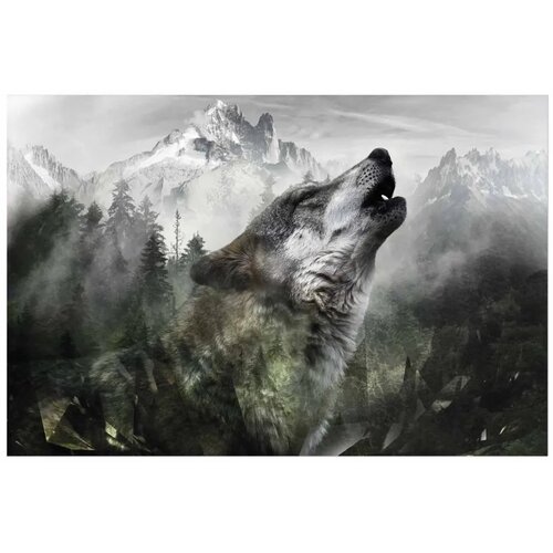  Plakat - Howling Wolf 42x29.7 Bez okvira Slike