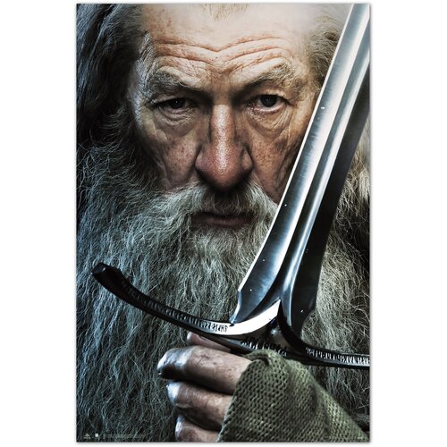 Grupo PLAKAT HOBIT GANDALF, (20837333) Cene