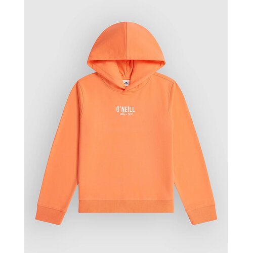 O&amp;#039;neill Essentials Kids Hoodie funky peach Slike