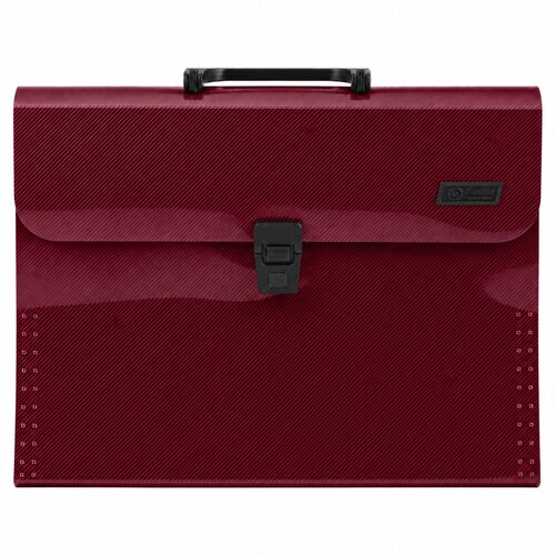  Folder Folder Document Organizer Holder 13 Compartments Burgundy A4 Slike