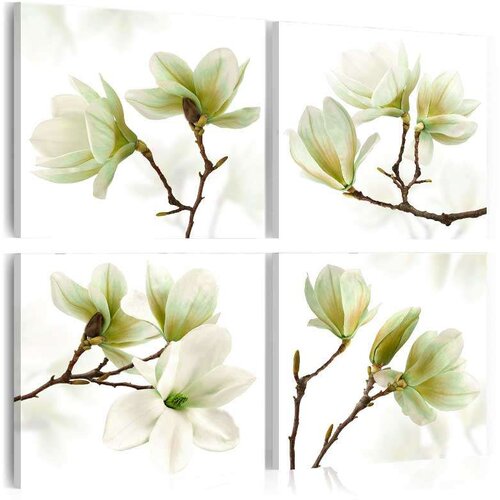  Slika - Admiration of Magnolia 80x80 Slike
