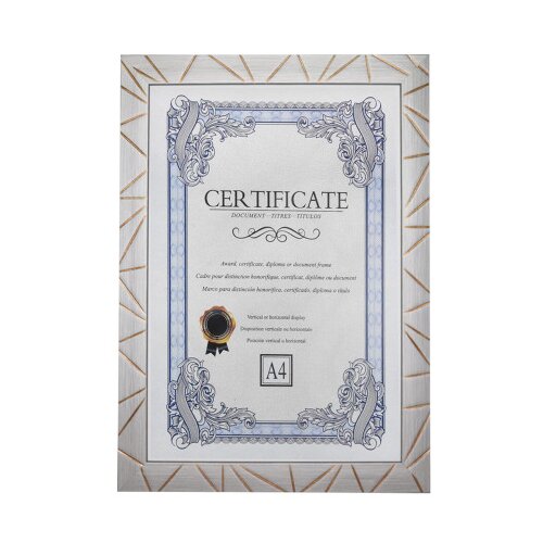 Master Ram za sliku A4 sivi 240906 Cijene