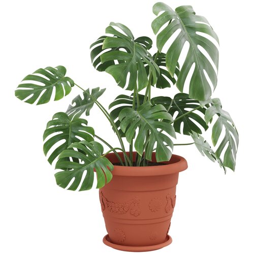  Saksije za biljke 24 pcs Crvena cigla &amp;Oslash; 39 x 32 cm Plastika Slike