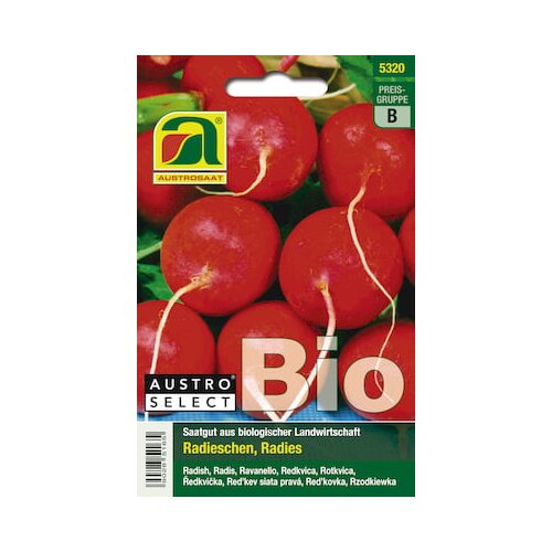 AUSTROSAAT Bio redkev &amp;quot;Wiener Rotes Treib&amp;quot; Slike