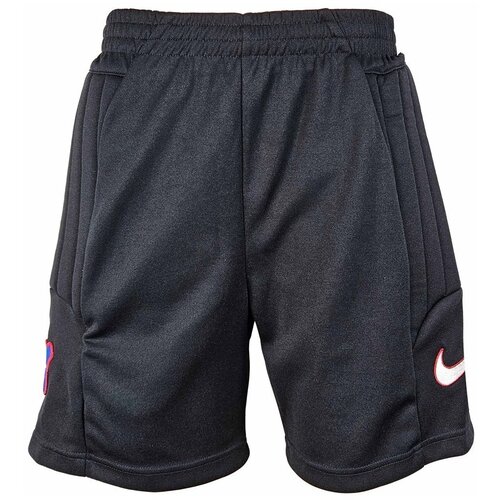 Nike Kratke hlače & Bermuda 159536010 pisana Cene
