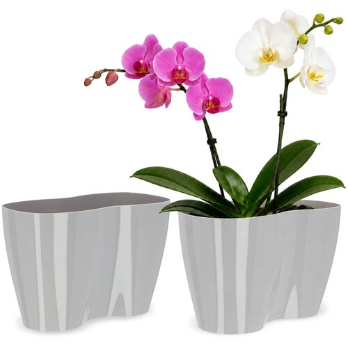 KADAX cvetlični lonec, cvetlični lonec, plastični cvetlični lonec, orhideja, 23 cm, siv, (5000353066) Cene
