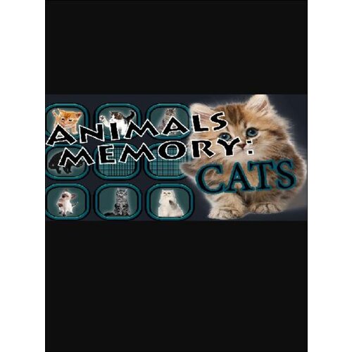 Steam Animals Memory: Cats (PC) Key GLOBAL Cene
