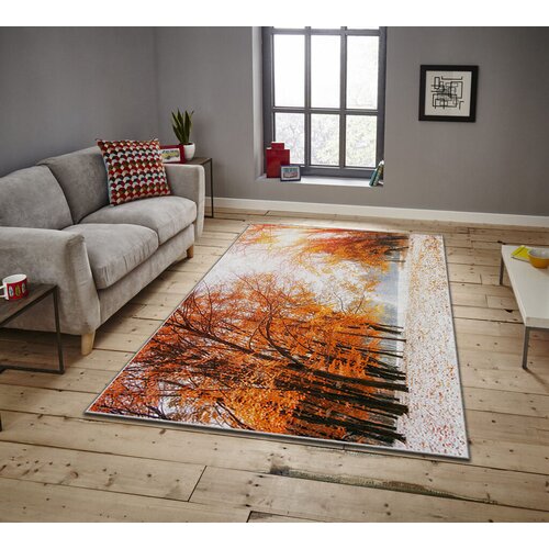Conceptum Hypnose tepih asr Crpt-12, pravougaoni, 80x140 cm, šareni Cene
