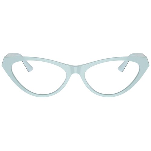 Jimmy_Choo Naočare JC 3005 5009 Slike
