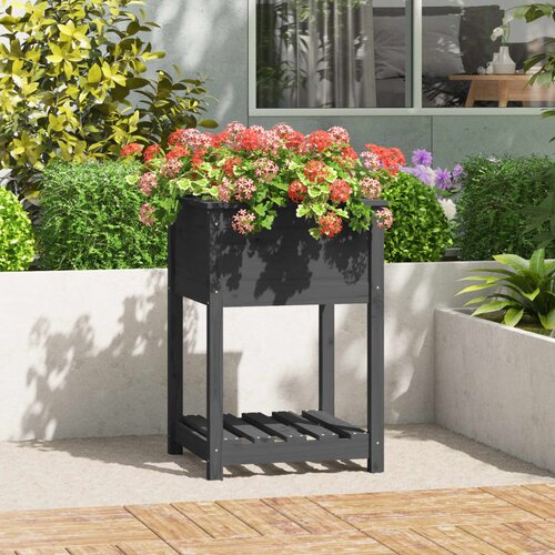 vidaXL Sadilica s policom siva 54x54x81 cm od masivne borovine Cijene