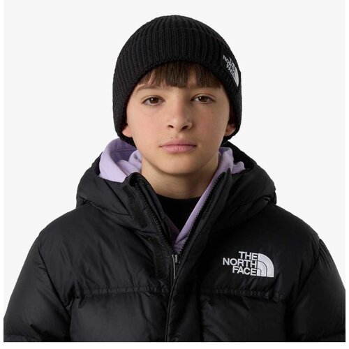 The North Face Kids tnf logo box cuffed beanie Slike