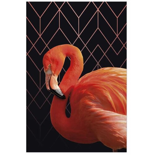  Plakat - Flamingo Solo 21x30 Bez okvira Slike