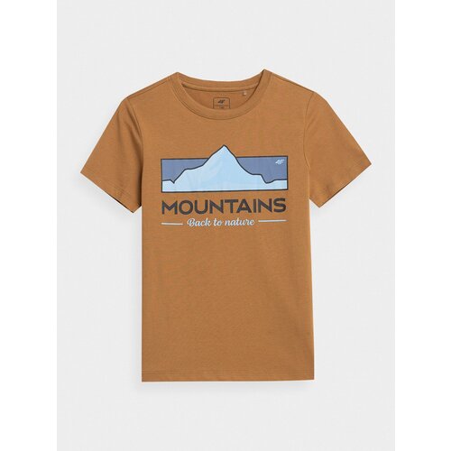 4f Boys' cotton T-shirt Cene