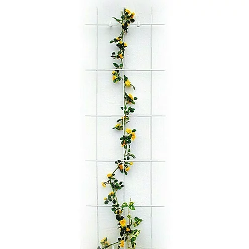 BELLISSA Opora za rastline (150 x 45 cm, bela)