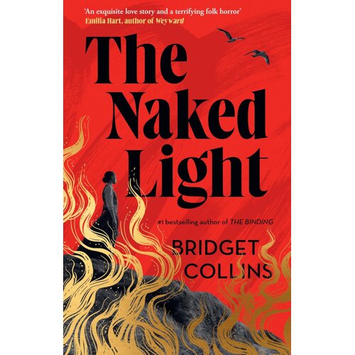 Harper Collins Publishers Ltd Bridget Collins - The Naked Light Slike