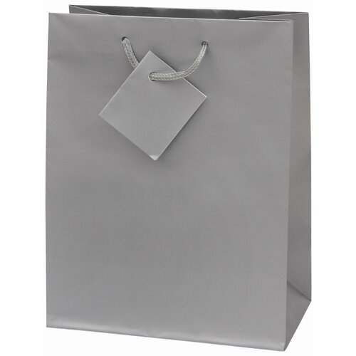  Vrečka darilna plast. mat a5 22,9x9,8x17,8 PROMOCIJA - SREBRNA Cene