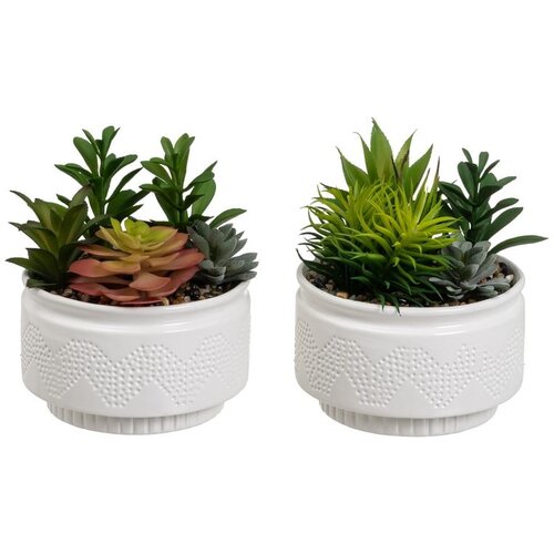 Casa Selección Umetne rastline v kompletu 2 ks (višina 19 cm) Cactus – Cene