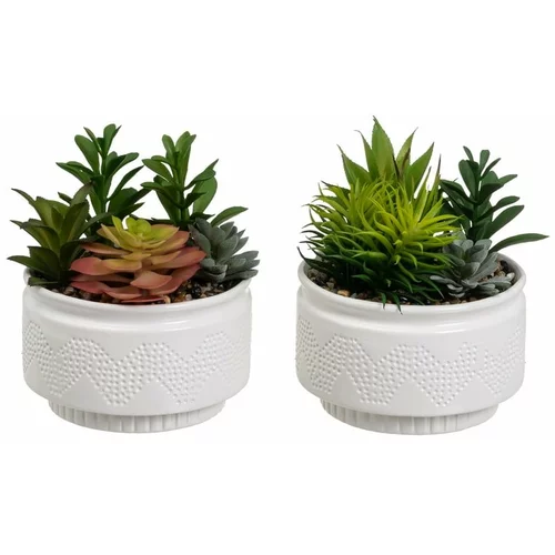 Casa Selección Umetne rastline v kompletu 2 ks (višina 19 cm) Cactus –
