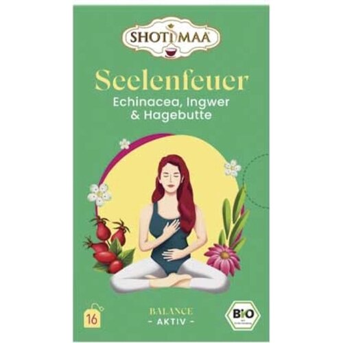 BIO čaj "Seelenfeuer" - ehinacea, đumbir i &scaron;ipak - 16 vrećica čaja Cijene