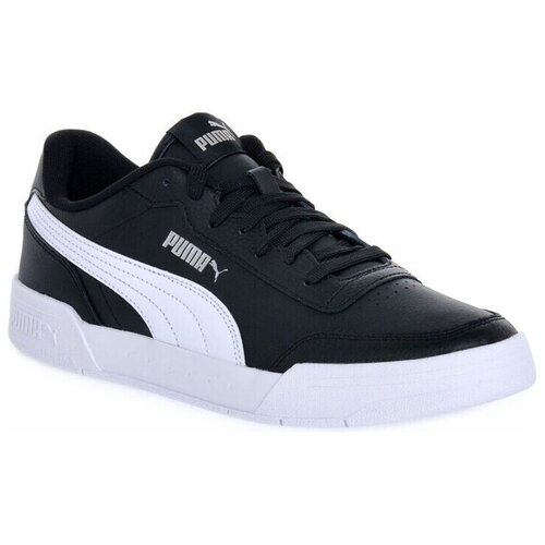 Puma Caracal sarena Cene