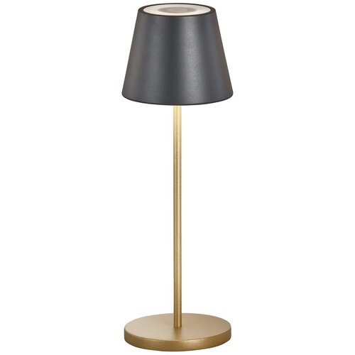 Fischer & Honsel Črna/v zlati barvi LED namizna svetilka s kovinskim senčilom (višina 34 cm) Cosenza – Cene