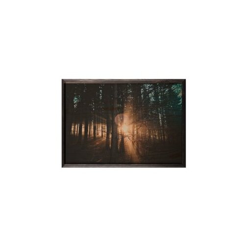 WALLXPERT dekorativna uramljena drvena slika forest xl Cene