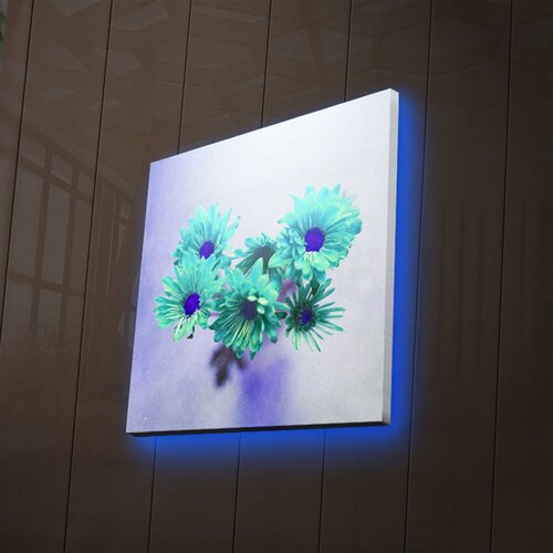 Wallity Zidna slika sa LED osvetljenjem 2828DACT-40, 28x28 cm Cene