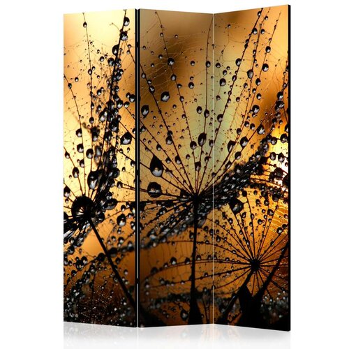  Paravan u 3 dijela - Dandelions in the Rain [Room Dividers] 135x172 Cijene