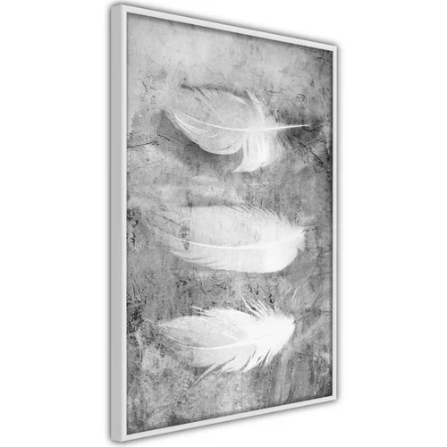  Poster - Delicate Feathers 40x60