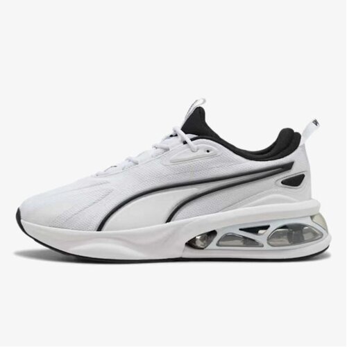 Puma solar Cene