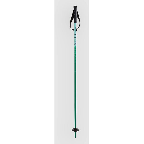 Völkl Phantastick Jr Poles 2025 Smucarske palice green Cene