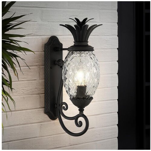  Hinkley HK-PLANTATION-M-MB - Zidna lampa PLANTATION 1xE27/40W/230V crna Cene