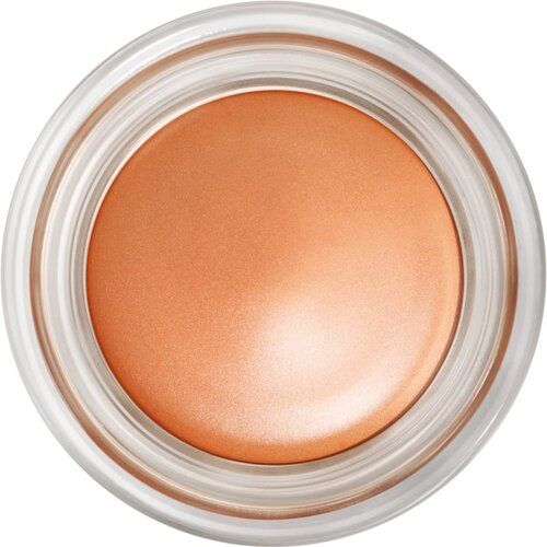 MAC Cosmetics Pro Longwear Paint Pot kremasto senčilo za oči odtenek Contemplative State 5 g Slike