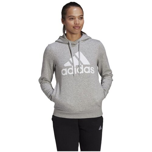 Adidas Puloverji Essentials Hoodie Siva Cene