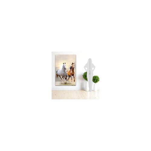 Ferrol Home Horses slika na platnu Slike